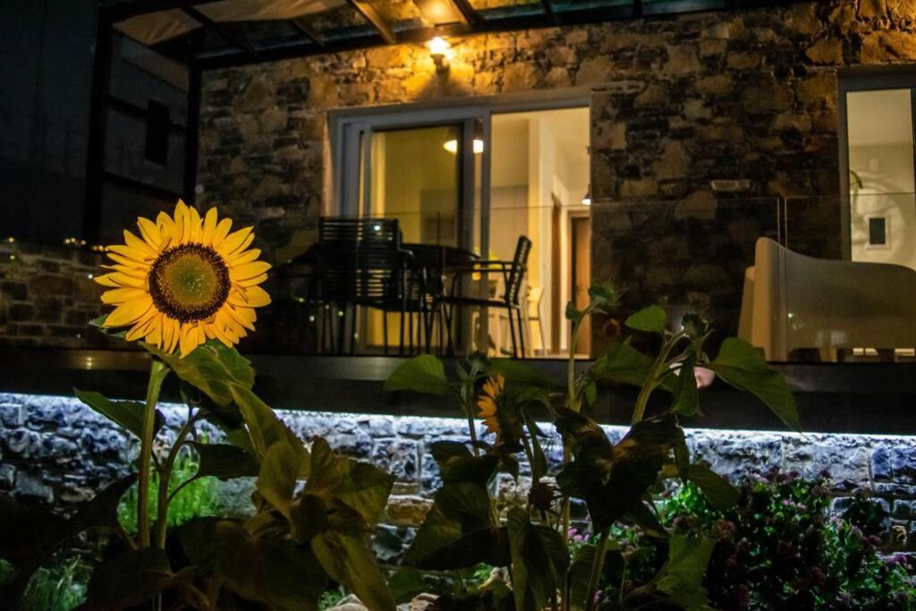 Istron Avra Apartment Kalo Chorio  Bagian luar foto