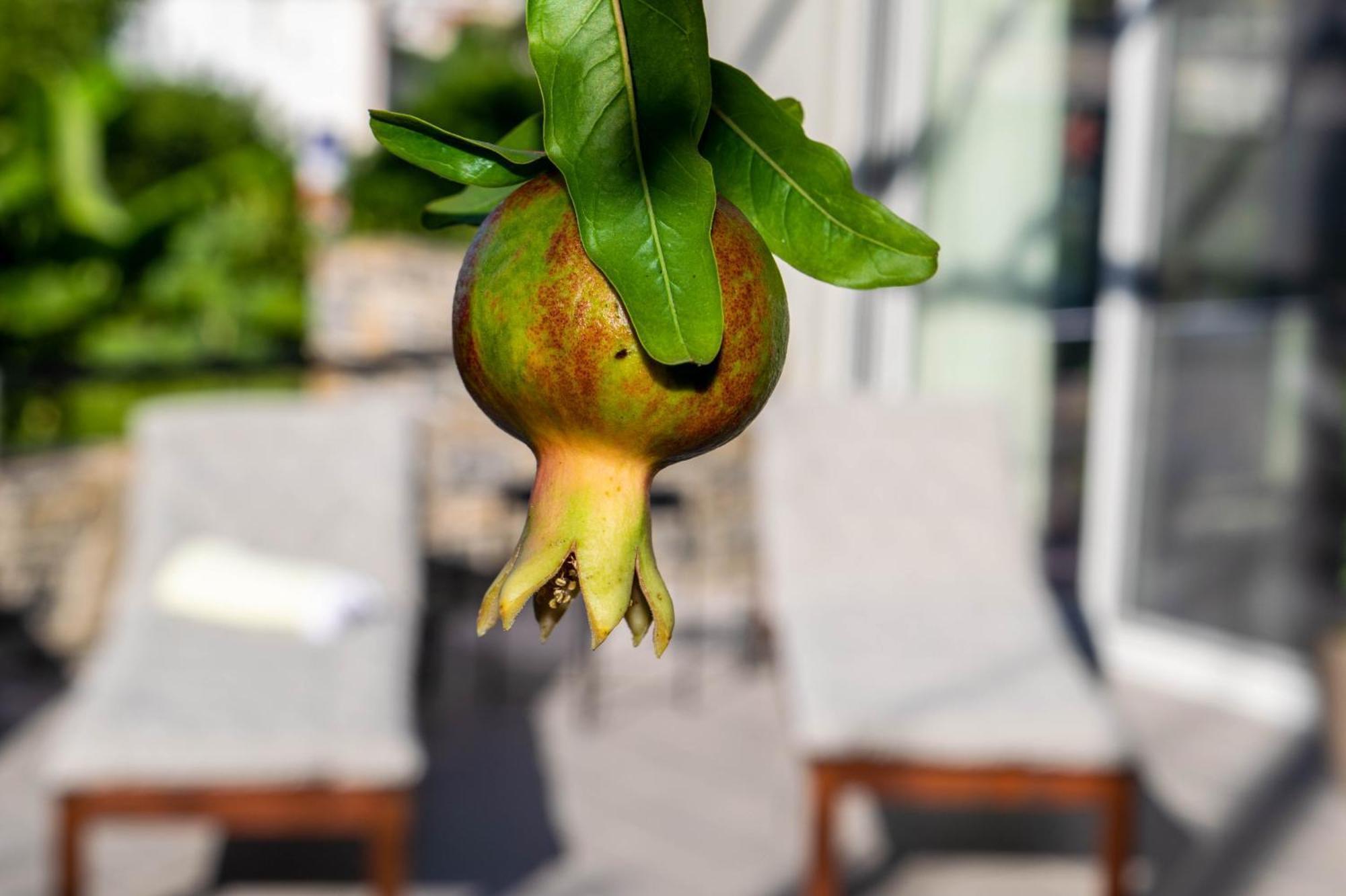 Istron Avra Apartment Kalo Chorio  Bagian luar foto